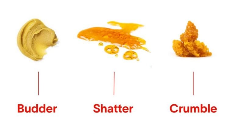 Cannabis Concentrates: Live Resin Vs. Shatter, Wax, Budder