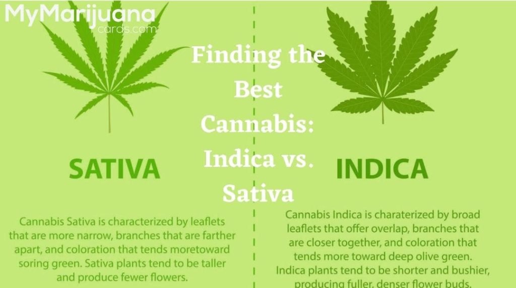 Indica Vs. Sativa Vs. Hybrid: What’S the Difference?