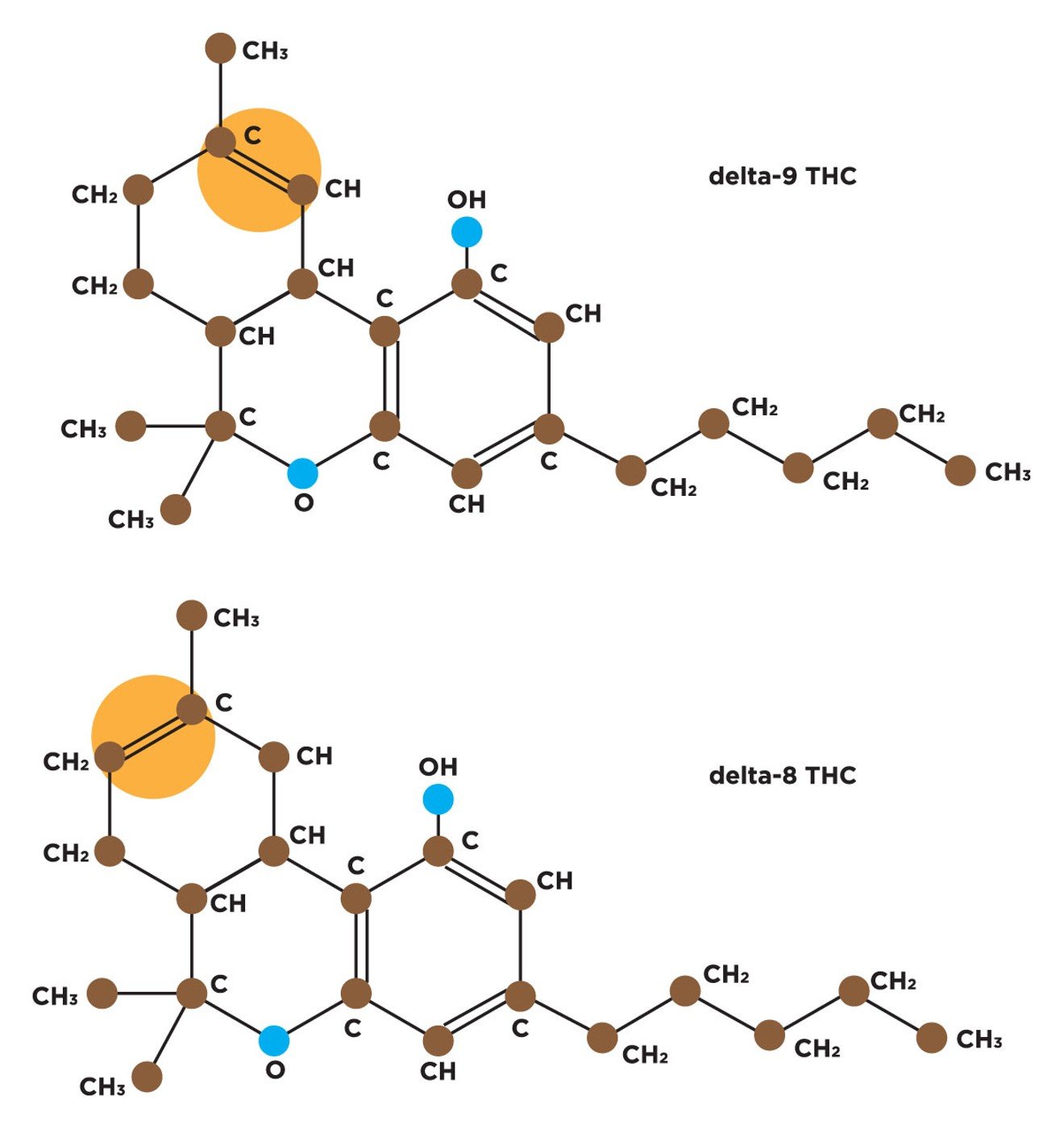 Is Delta-8 Thc Legal in Arizona?