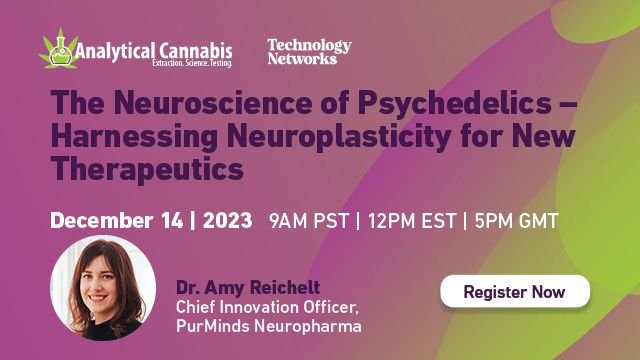 Latest News About Cannabis Science, Policy, Business, And Product Innovations.