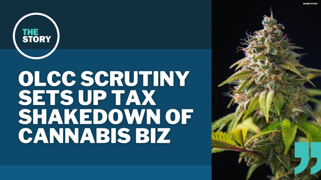 The Most Influential Organizations in the Cannabis Industry