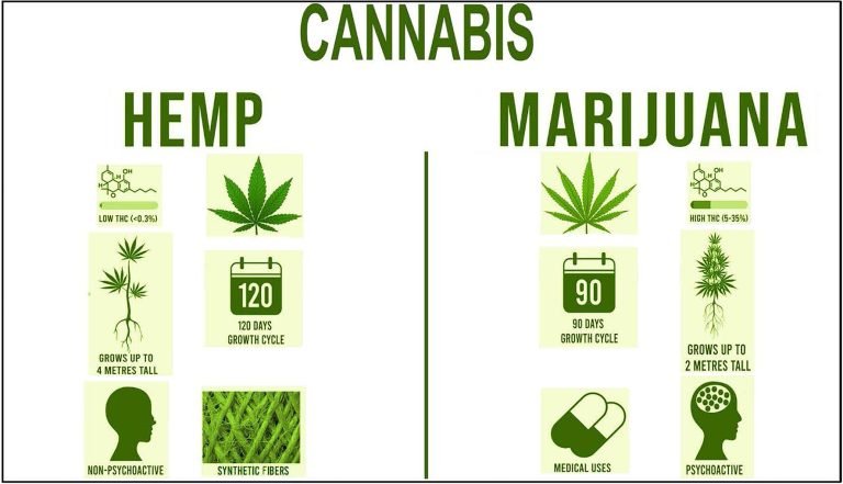 What Is Hemp Flower?