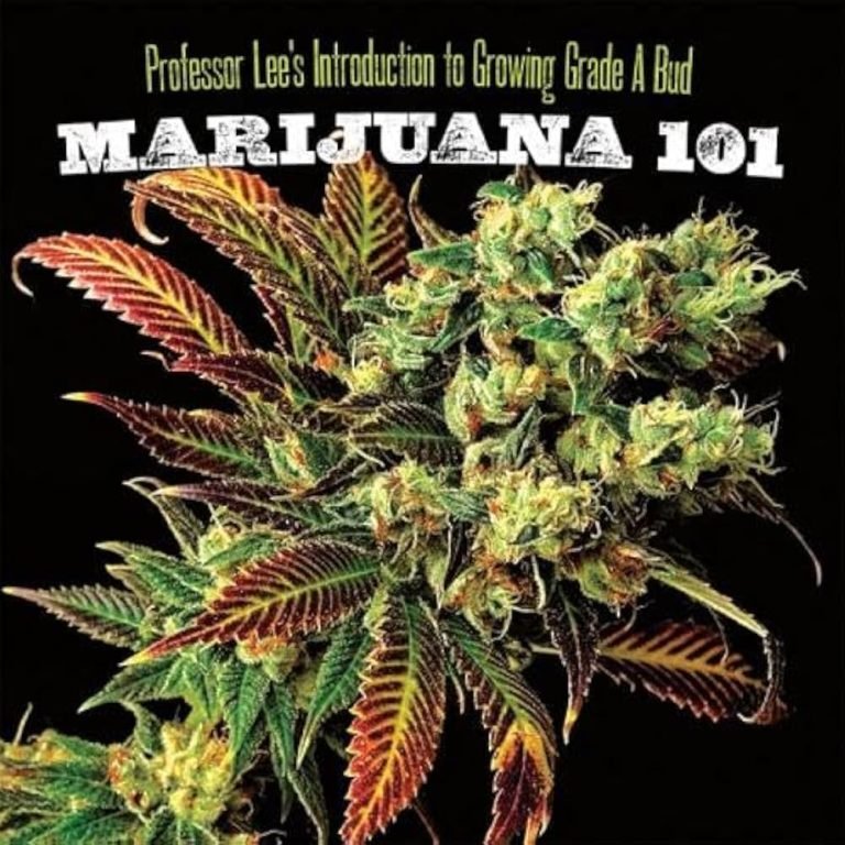 Cannabis 101: Everything You Need to Know