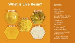 What Is Live Resin?