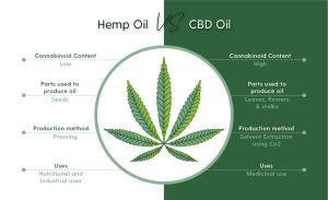 WhatβS the Difference Between Cbd Oil And Hemp Oil?