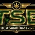 THCSmall Buds Online logo