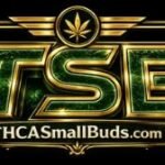 THCSmall Buds Online logo